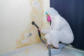 Best Mold Remediation for Healthcare Facilities  in Bonita, CA